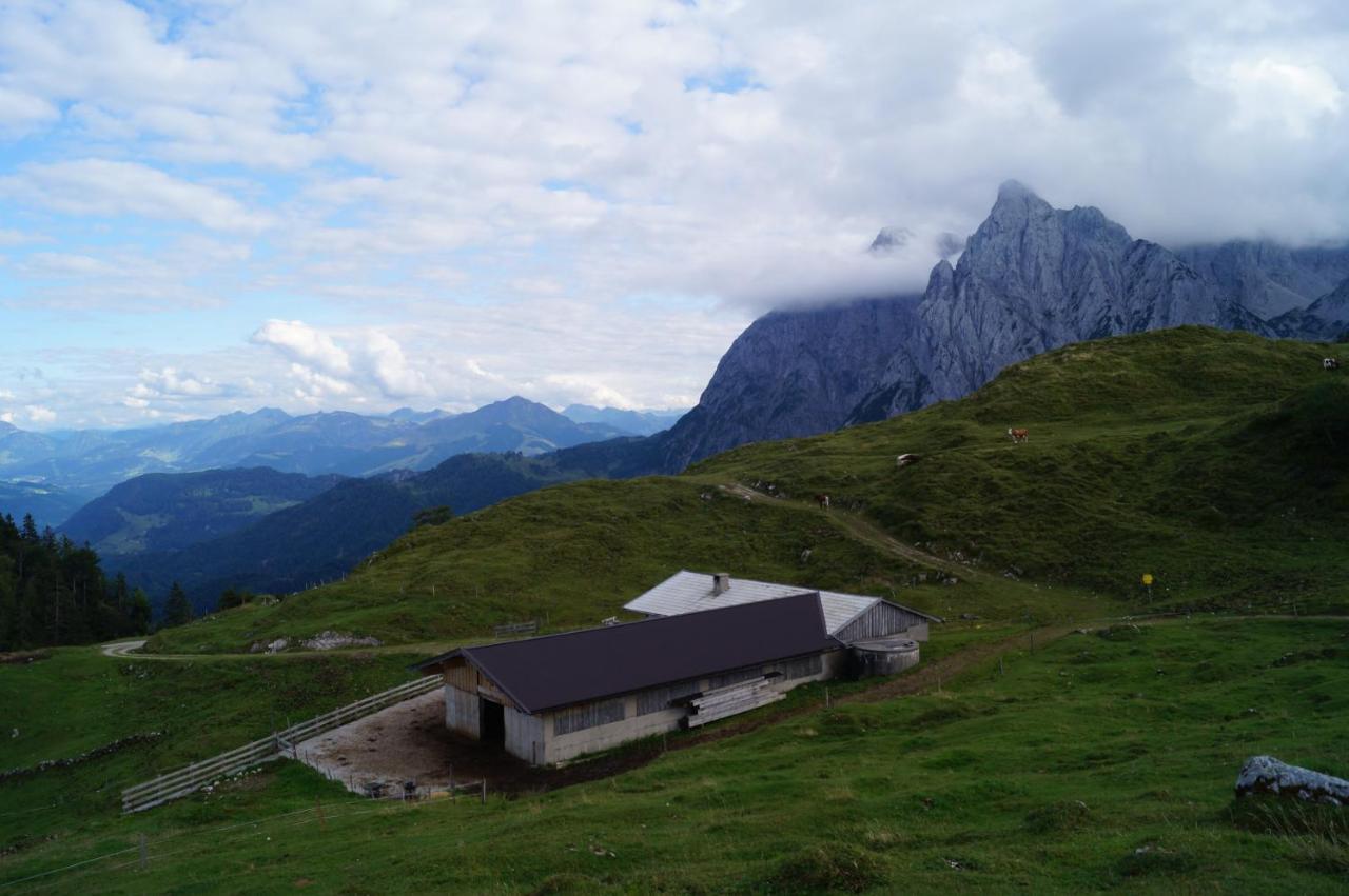 瓦德林Schneiderbauer住宿加早餐旅馆 外观 照片
